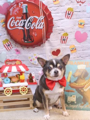 20230923メルくん